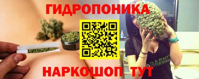 индика Рязань