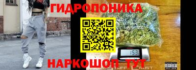 индика Рязань