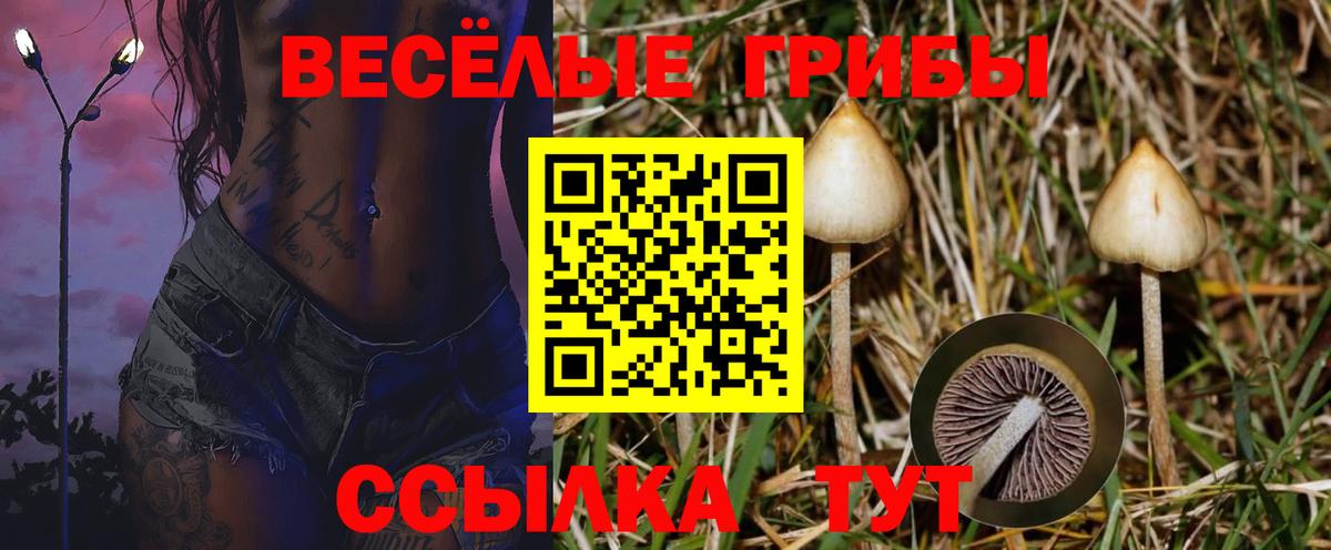Псилоцибиновые грибы GOLDEN TEACHER  Псилоцибиновые грибы Psilocybe  цены   Вход с VPN  Солнечногорск 